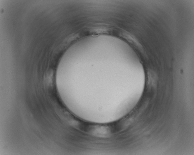 X0000067950073200604272110