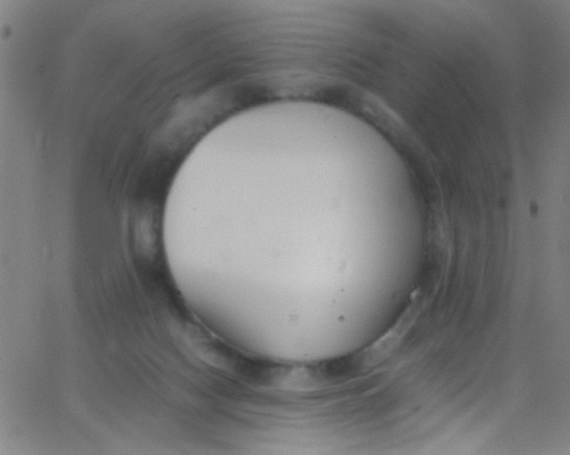 X0000067950074200604272110