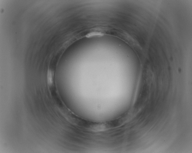 X0000067950075200604272110