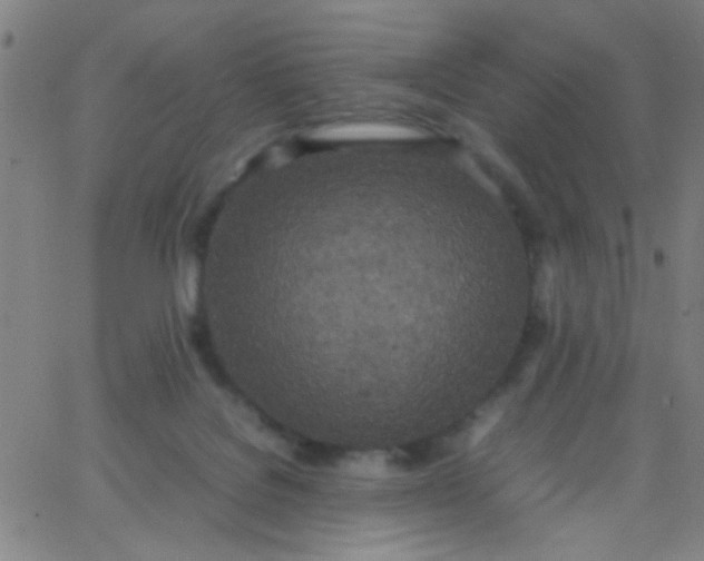 X0000067950076200604272110