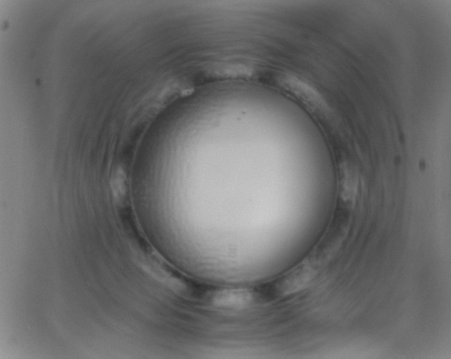 X0000067950077200604272110