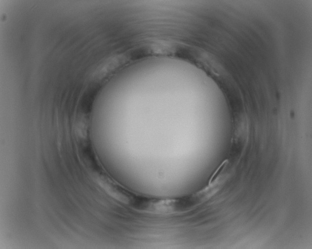 X0000067950078200604272110