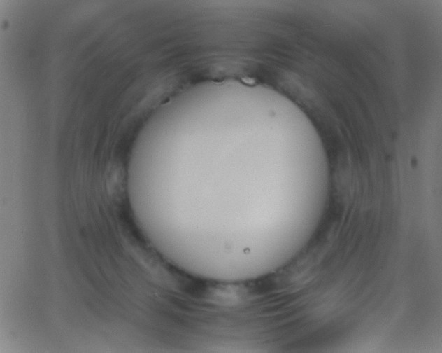 X0000067950079200604272110