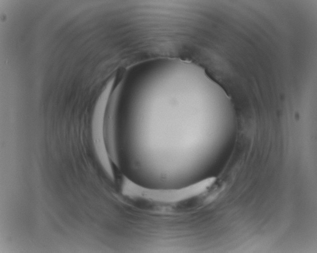 X0000067950080200604272110