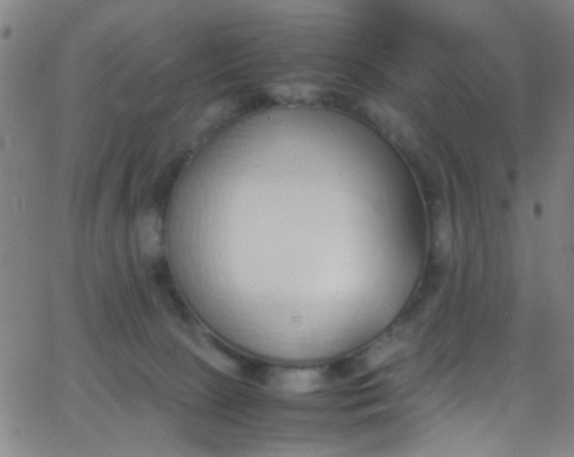 X0000067950081200604272110