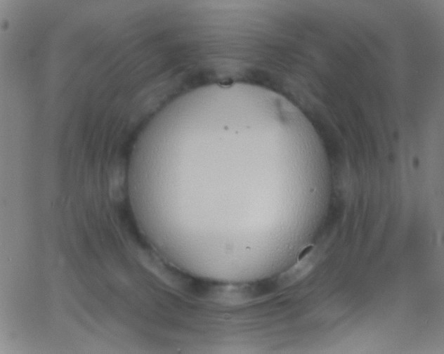 X0000067950082200604272110