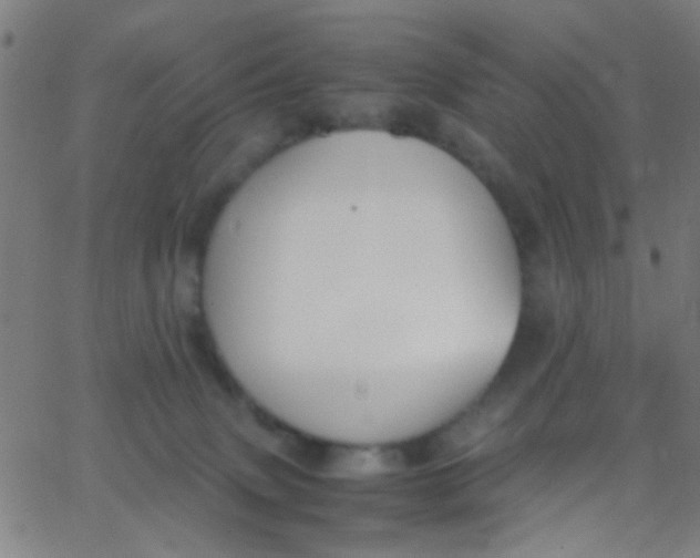 X0000067950083200604272110