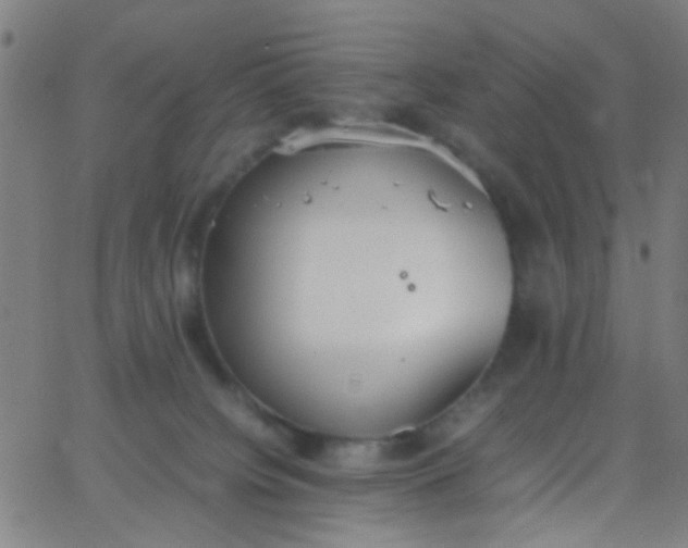 X0000067950084200604272110