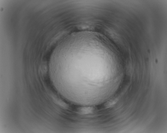 X0000067950085200604272110