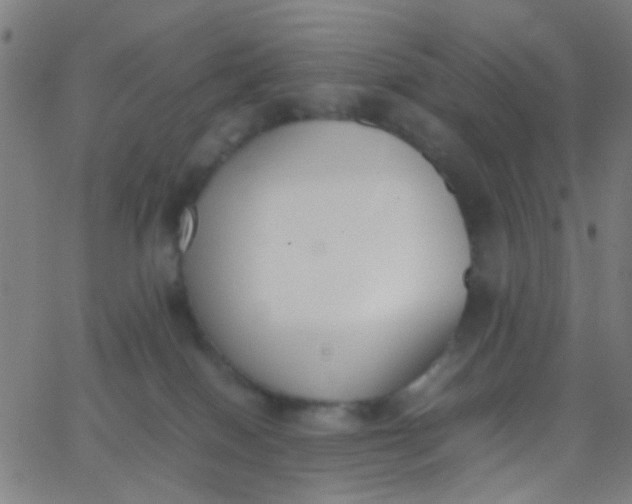 X0000067950086200604272110