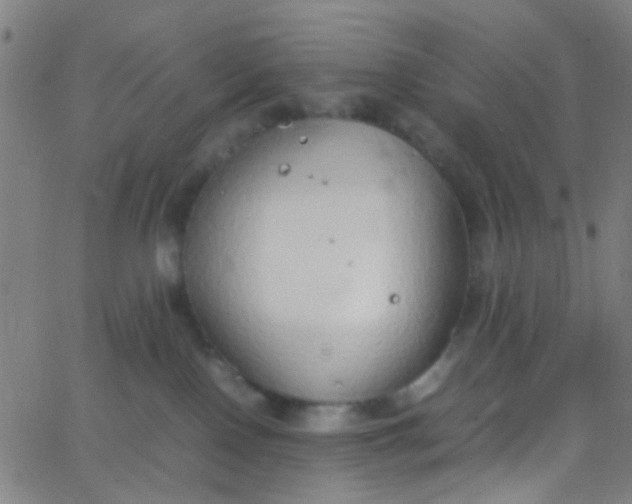 X0000067950090200604272110