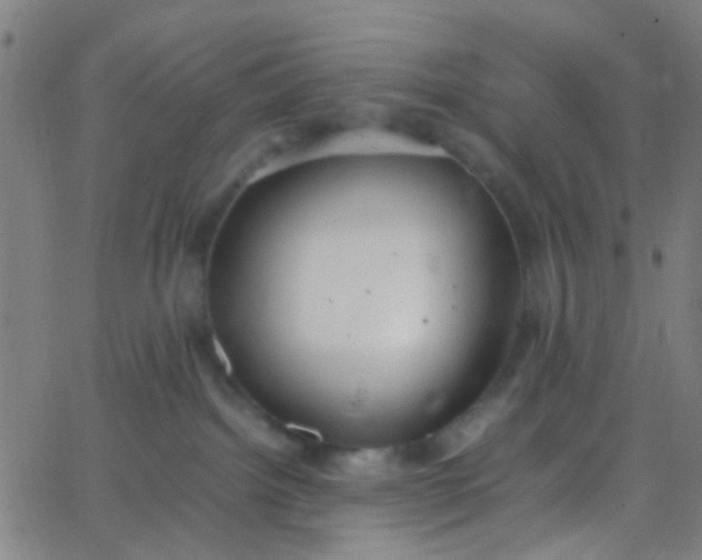 X0000067950092200604272110