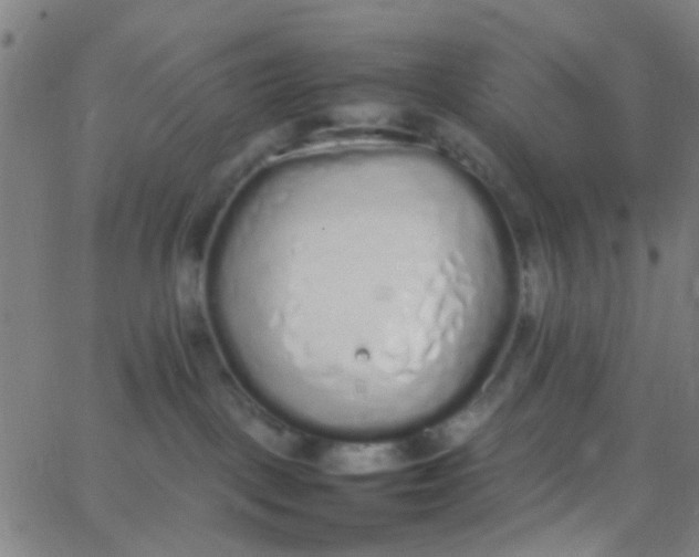 X0000067950093200604272110