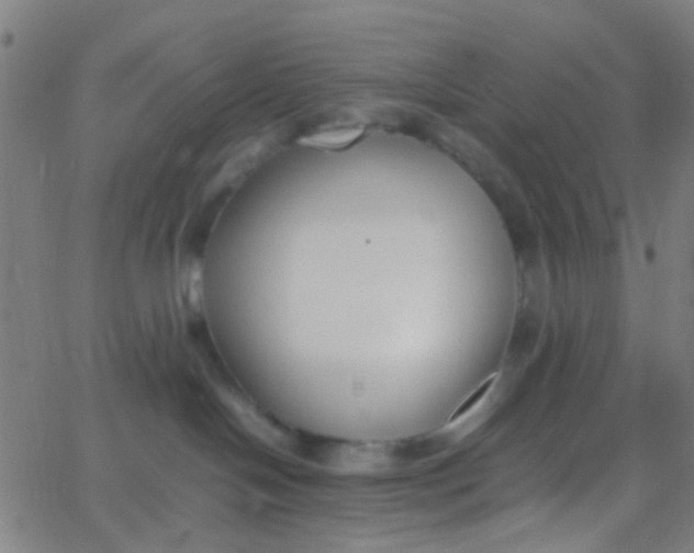 X0000067950094200604272110