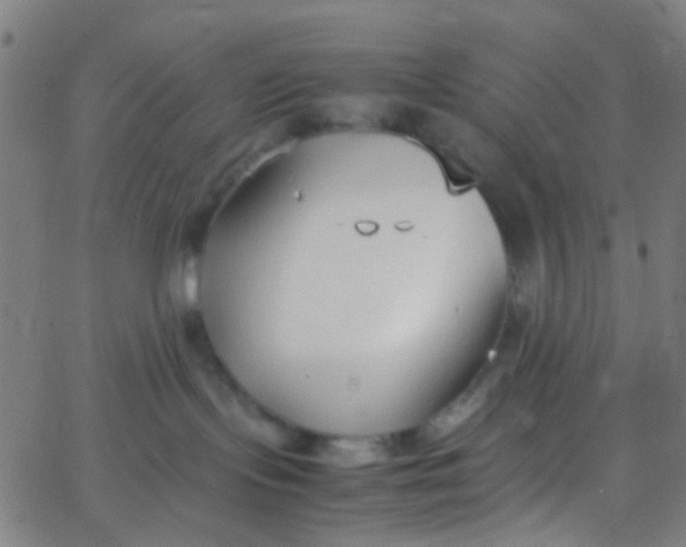 X0000067950095200604272110