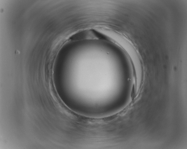 X0000067950097200604272109