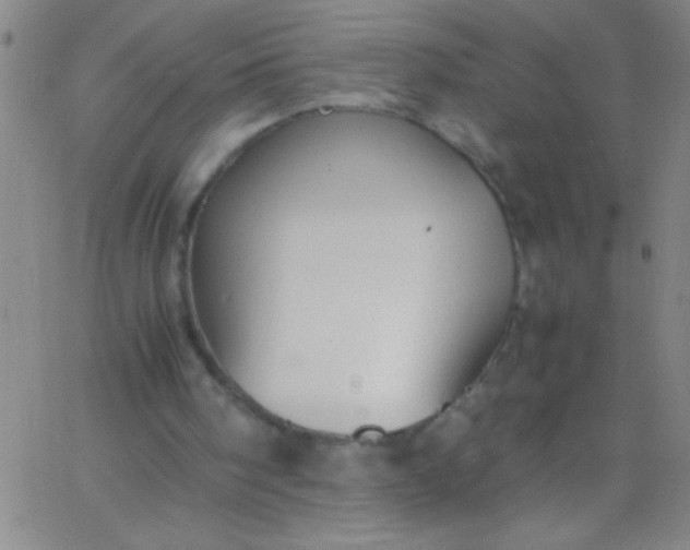 X0000067950098200604272109