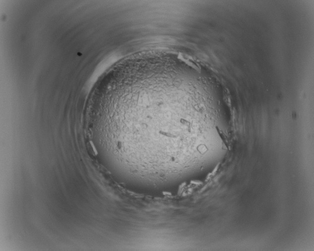 X0000067950099200604272109