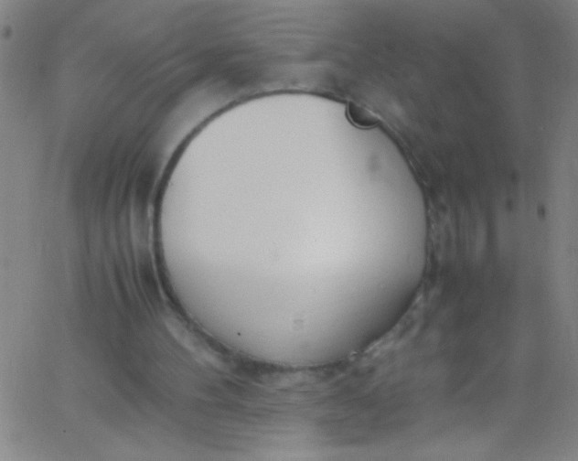 X0000067950100200604272109