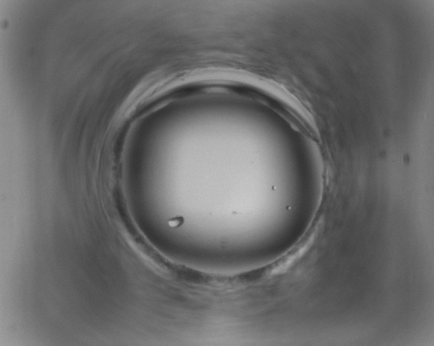 X0000067950101200604272109