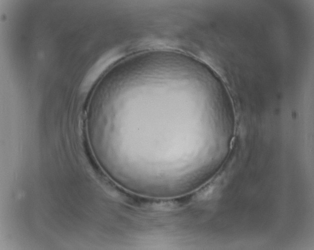 X0000067950103200604272109