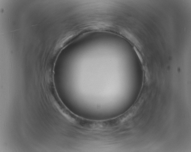 X0000067950105200604272109