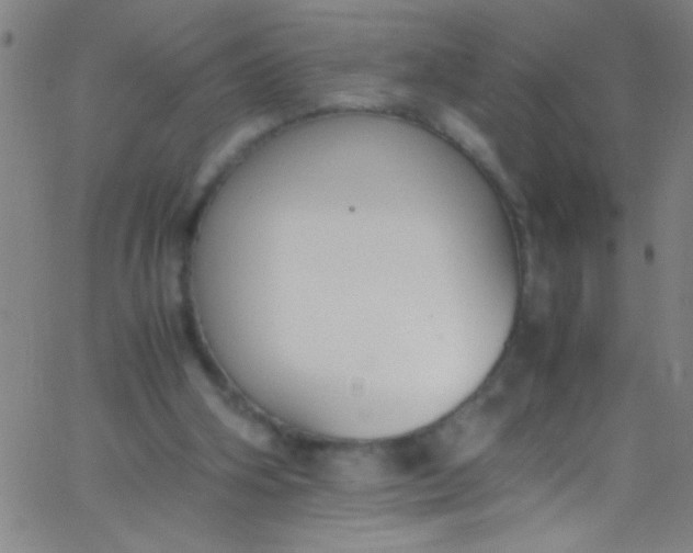 X0000067950106200604272109