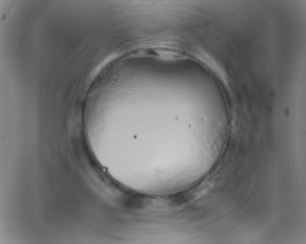 X0000067950107200604272109