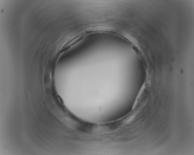 X0000067950109200604272109