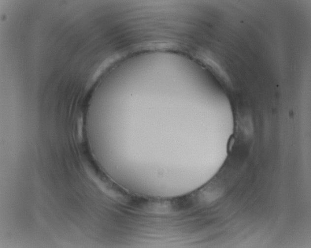 X0000067950110200604272109