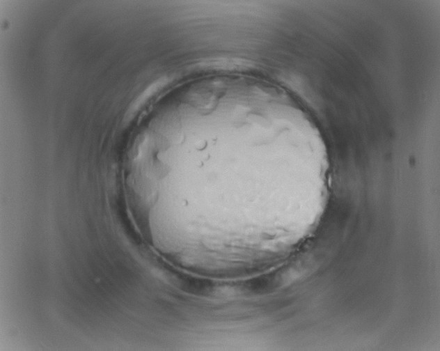 X0000067950111200604272109