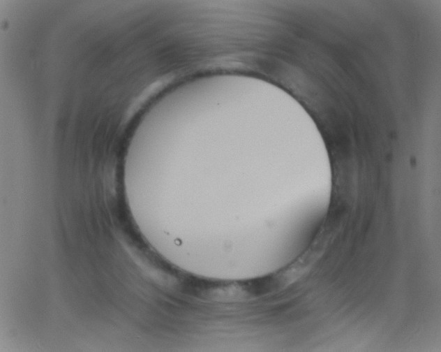 X0000067950112200604272109