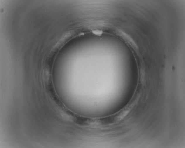 X0000067950113200604272109