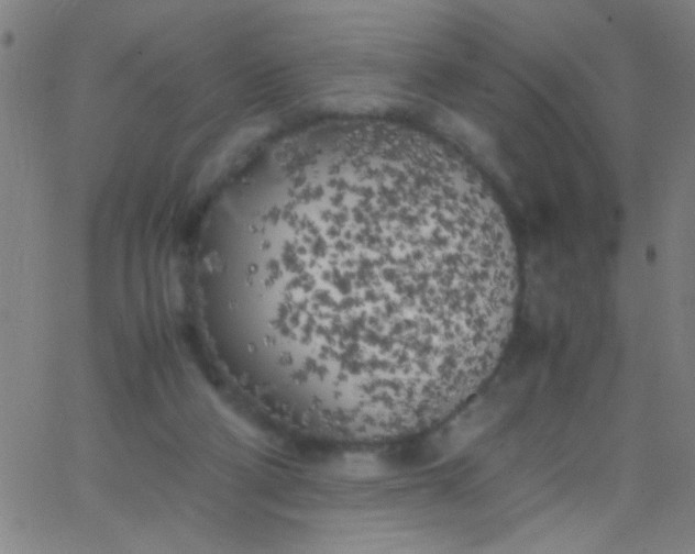 X0000067950114200604272109