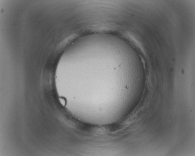 X0000067950115200604272109