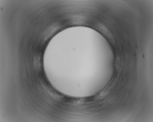 X0000067950116200604272109