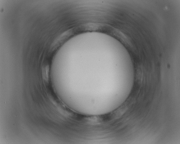 X0000067950118200604272109