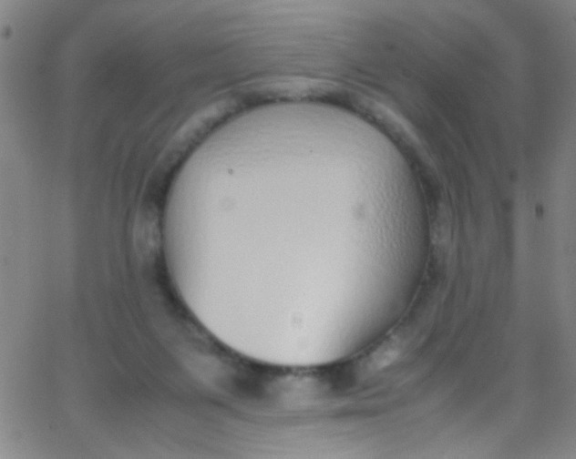 X0000067950119200604272109