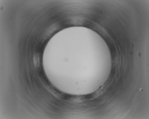 X0000067950120200604272109