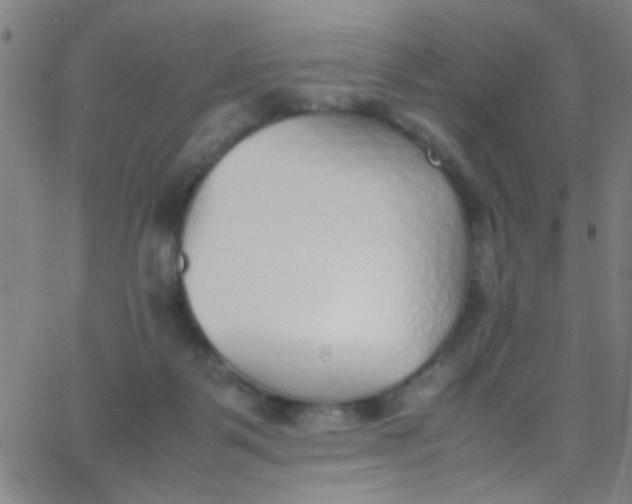 X0000067950123200604272109