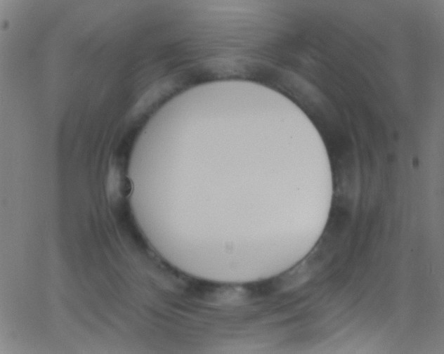 X0000067950124200604272109