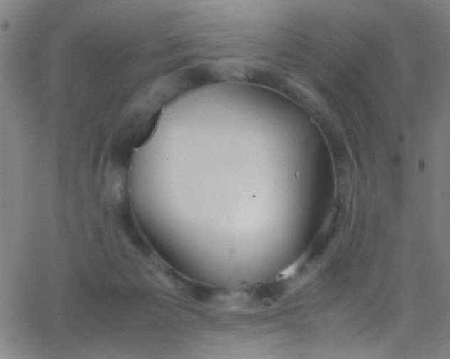 X0000067950125200604272109