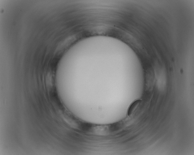 X0000067950126200604272109