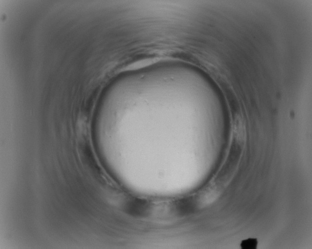 X0000067950127200604272109