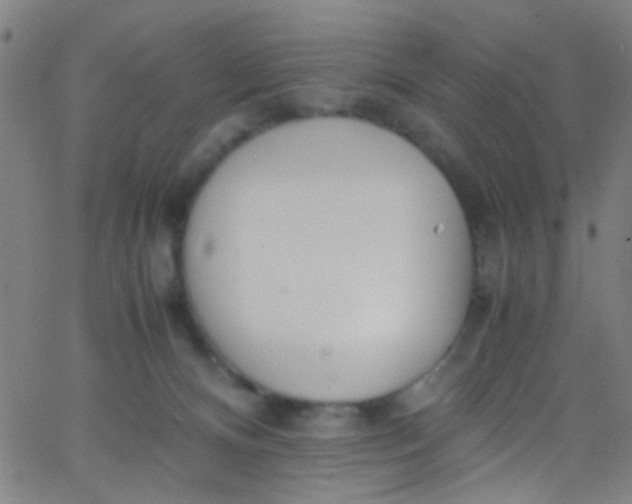 X0000067950128200604272109