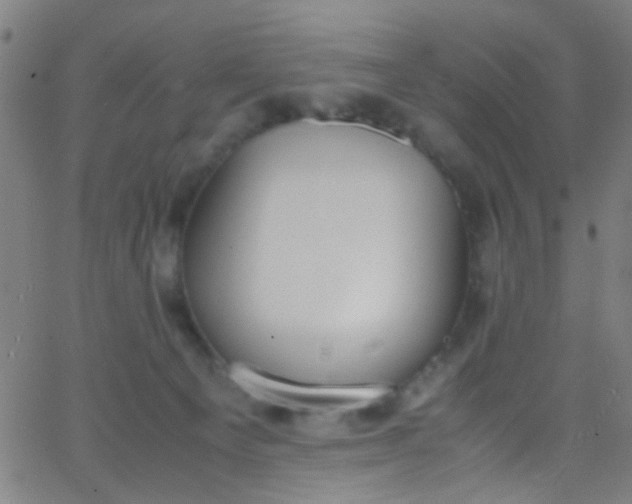 X0000067950129200604272109