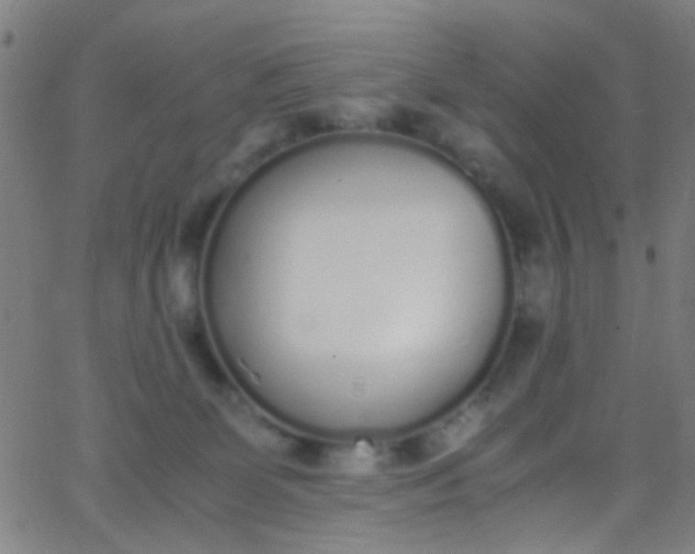 X0000067950131200604272109