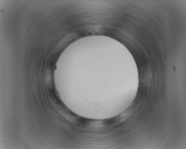 X0000067950132200604272109