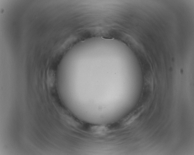 X0000067950133200604272109