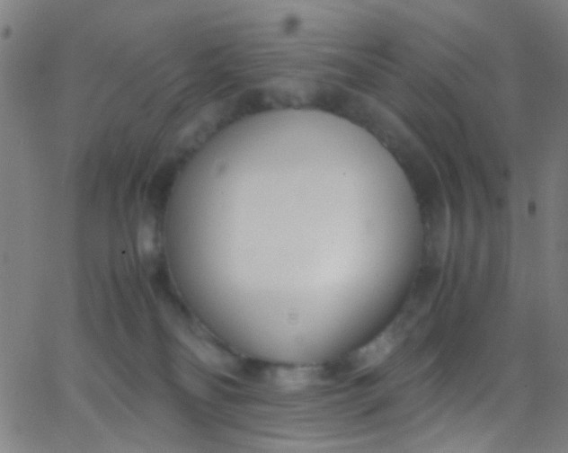 X0000067950134200604272109